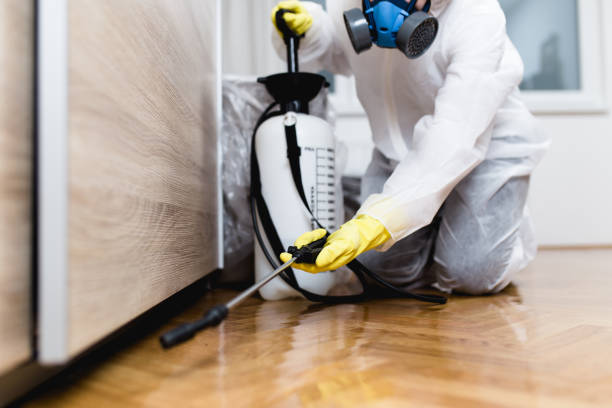 Best Mosquito Control Services  in Colville, WA