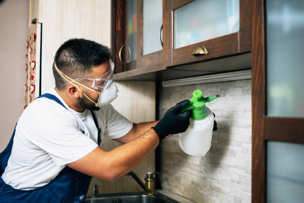  Colville, WA Pest Control Pros
