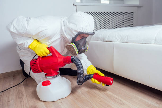 Wasp Removal Services in Colville, WA