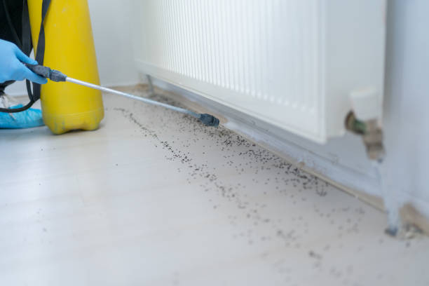 Best Residential Pest Control  in Colville, WA